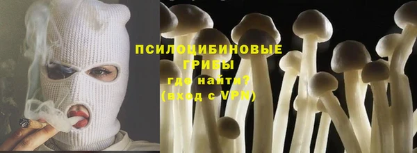 меф Новодвинск