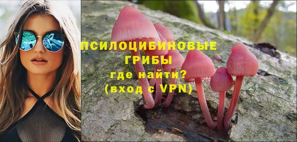 2c-b Новозыбков