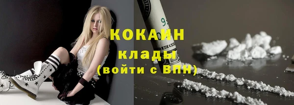 индика Нефтегорск