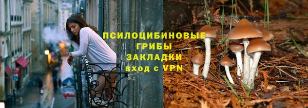 герыч Пестово