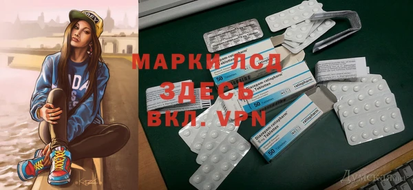 хмурый Нефтекумск