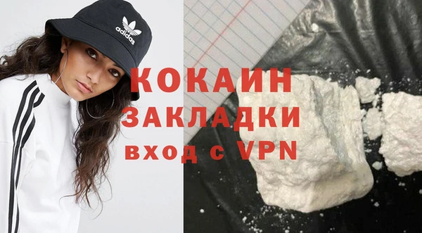 2c-b Новозыбков