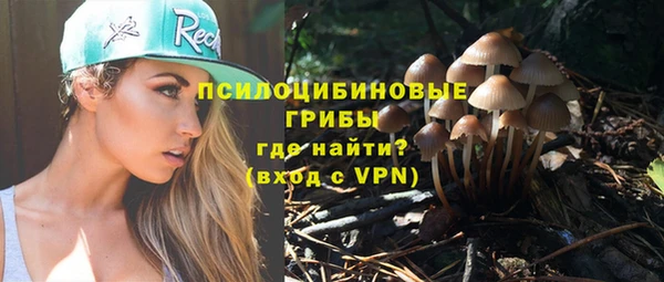 меф Новодвинск