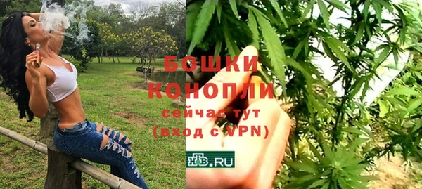 2c-b Новозыбков