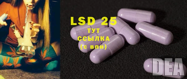 индика Нефтегорск