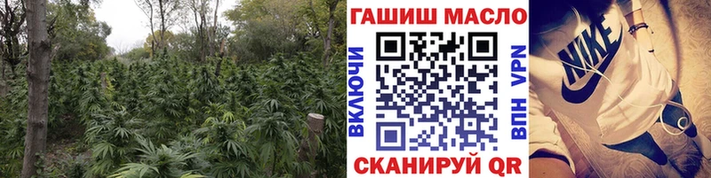 купить закладку Струнино ТГК гашишное масло